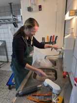 IMG-20250913-WA0007